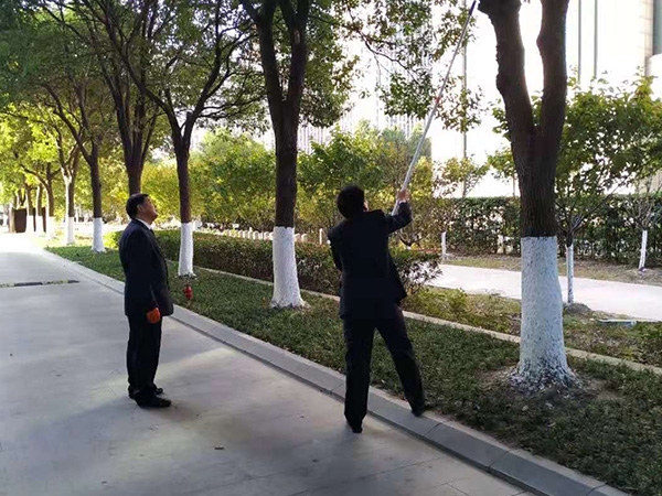 秩序維護